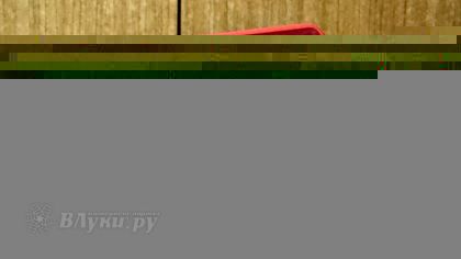 В Псковской области утвердили эскизы двух новых наград